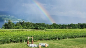 rainbow at Glenora Winery