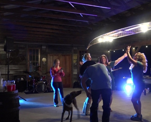 people dancing with dog at country wedding