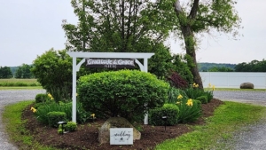 parking lot entrance at Gratitude & Grace