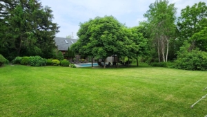 main yard at Gratitude & Grace
