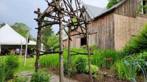 view from side yard at Gratitude & Grace