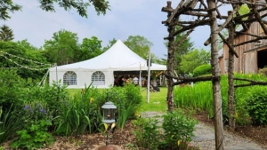 view of tent from side yard at Gratitude & Grace