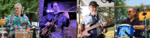 sunset salsa band members