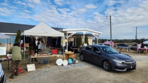 festival in dillon sc