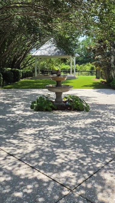 outdoor patio at Our Place on 17
